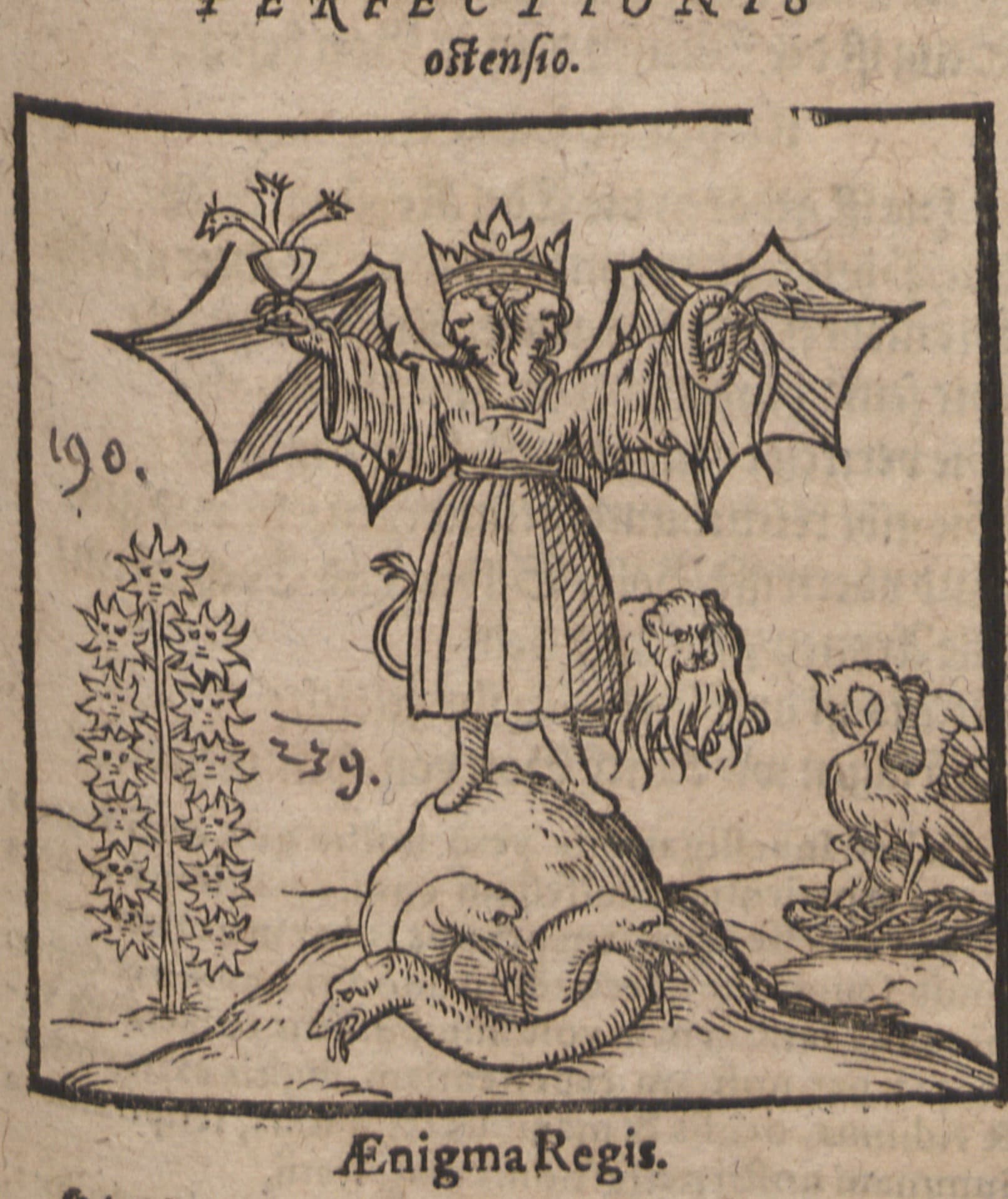 Perfectionis Ostensio — The Rebis Crowned, framed
