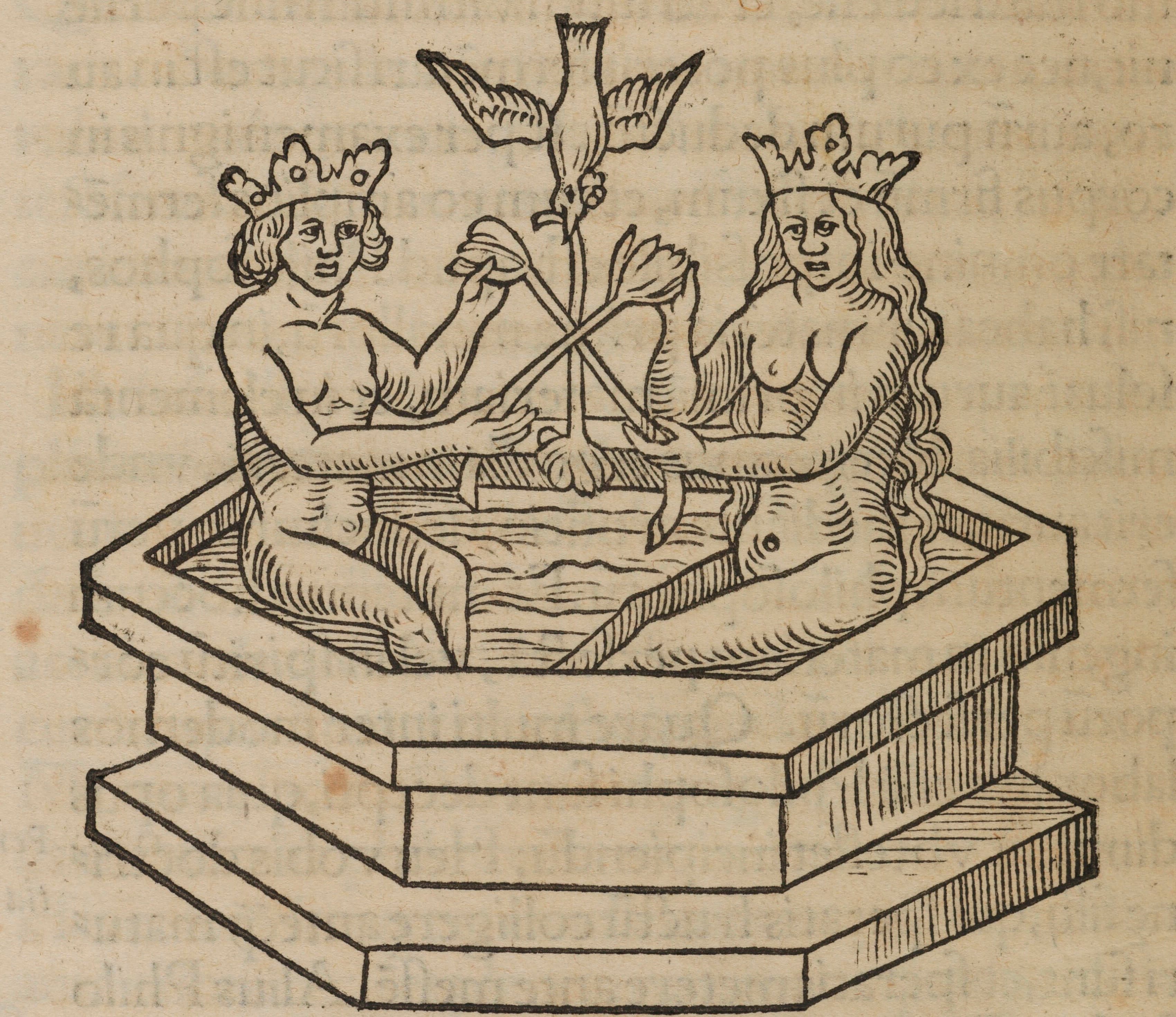 Immersion in the Bath