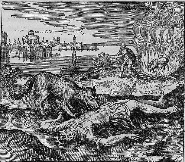 The Wolf Devours the King